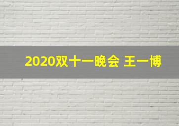 2020双十一晚会 王一博